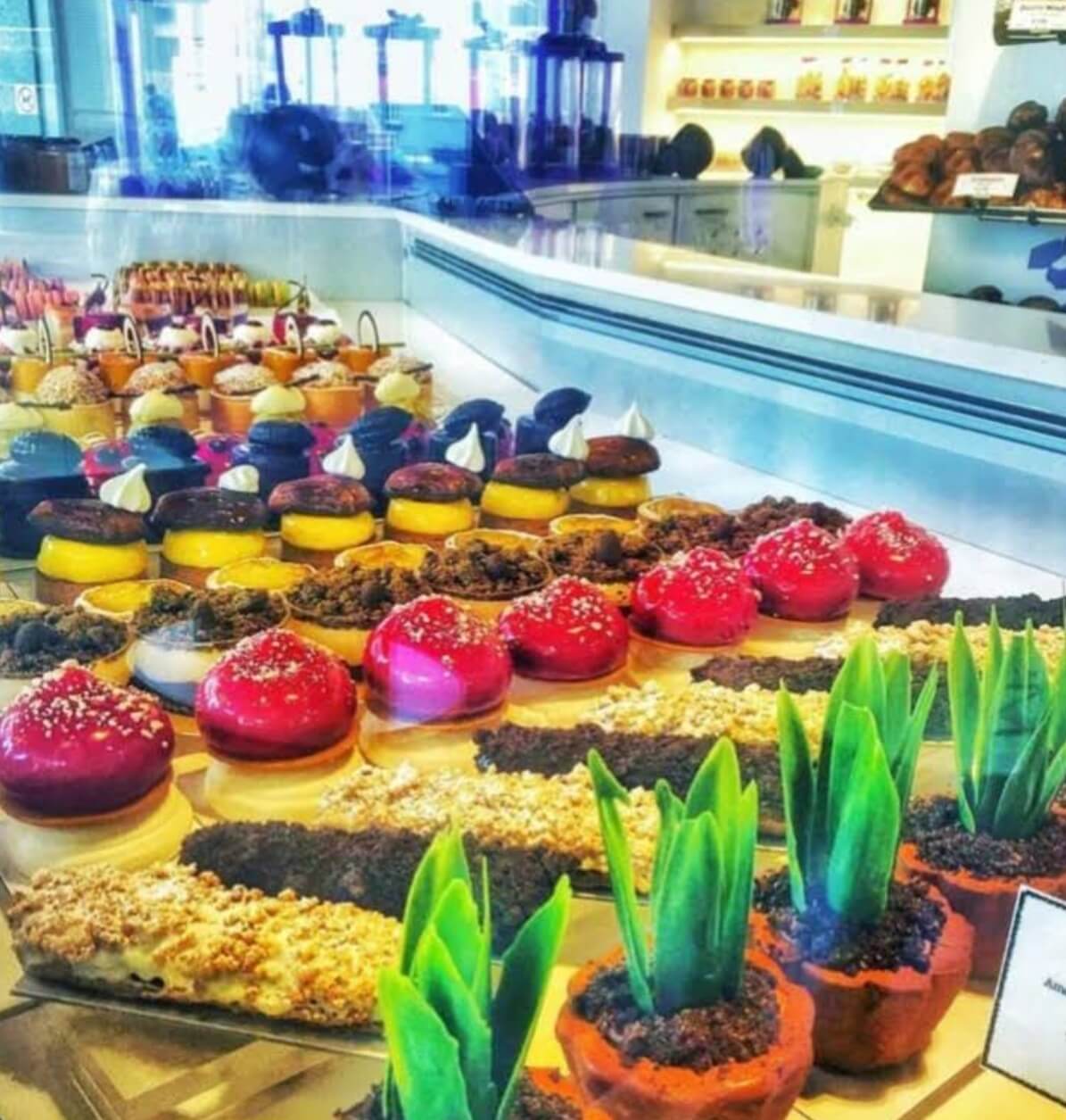 Marijn Coertjens Chocolates